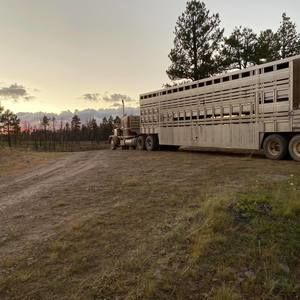 Meet your Posher, Chance